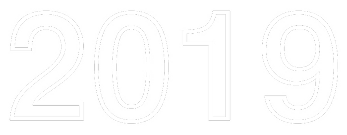 2019 Vinyl Decal