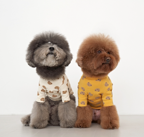 Acid Bear Colorful Bear Cotton Top
