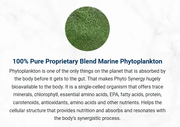 Adore Beast Phyto Synergy Super Antioxidant