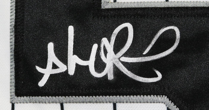 Alex Rios Chicago White Sox Signed Autographed White Pinstripe #51 Jersey