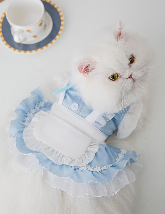 Alice in Wonderland Dress