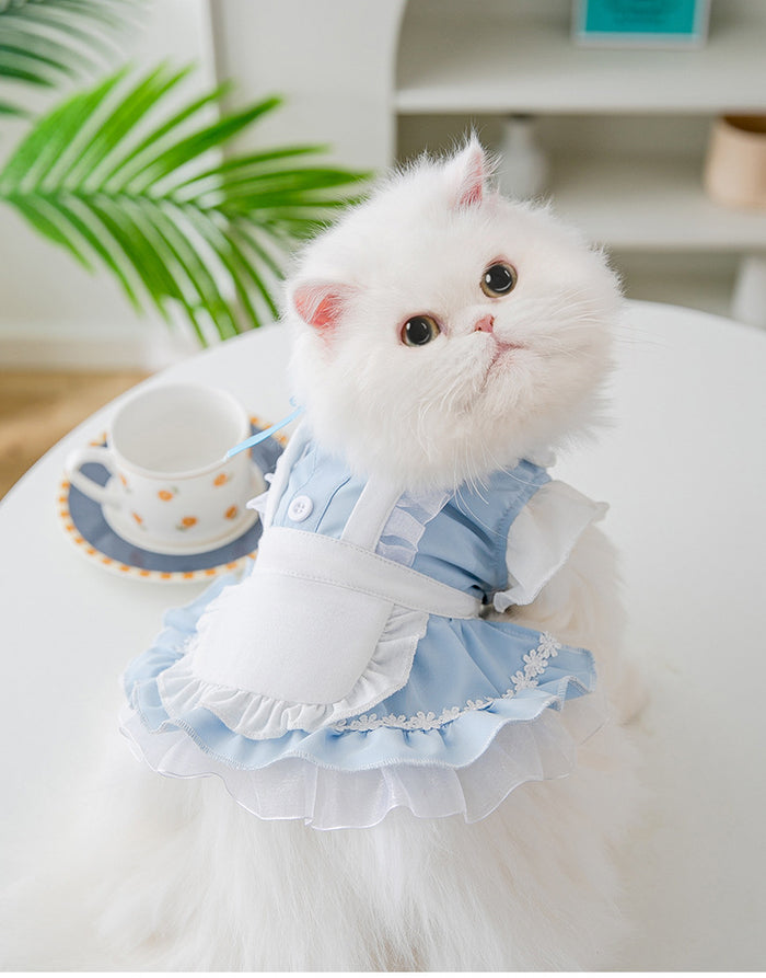 Alice in Wonderland Dress