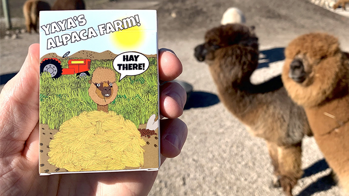 Alpaca Farm