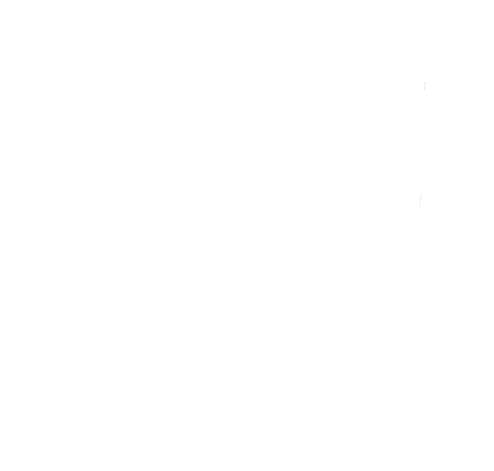 Archer Vinyl Decal