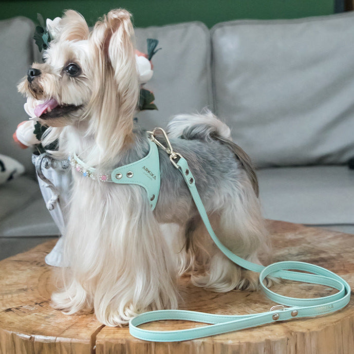 Arkira Harness&Lead Set for Small Pets
