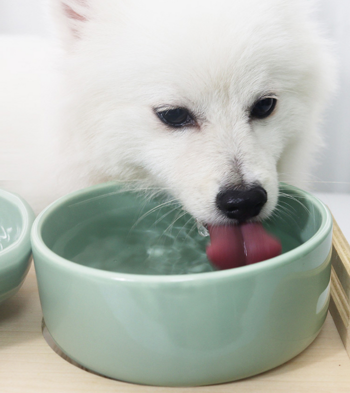 Aukatz Selenium Health Water Series Bowl