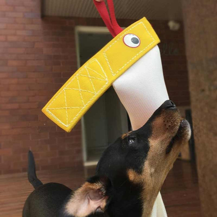Aussie Dog Home Alone Chook