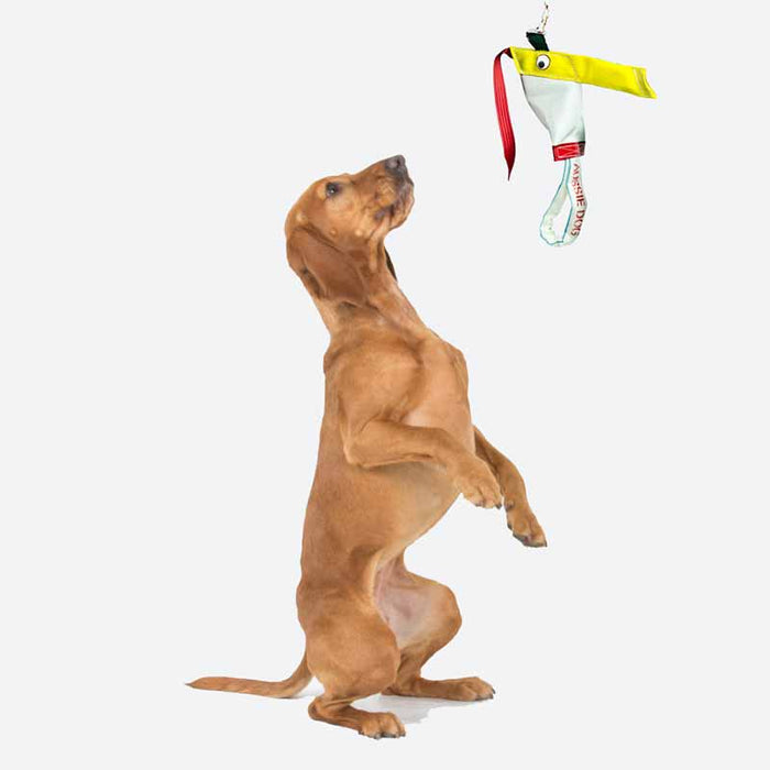 Aussie Dog Home Alone Chook