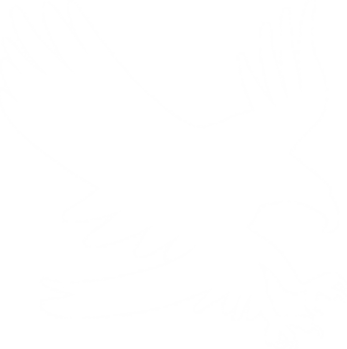Bald Eagle Vinyl Decal