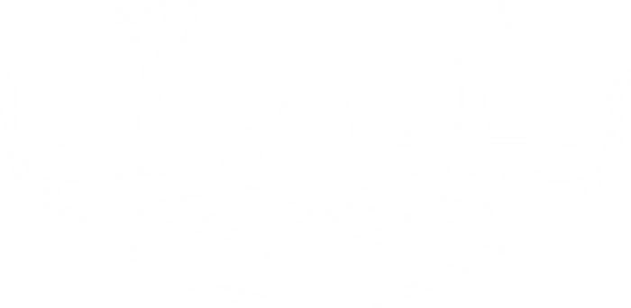 Baseball Stadium Vinyl Decal