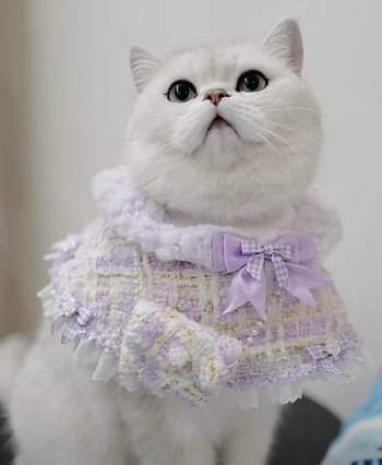 B.Bing Bouclé Bibs Bubble Dream