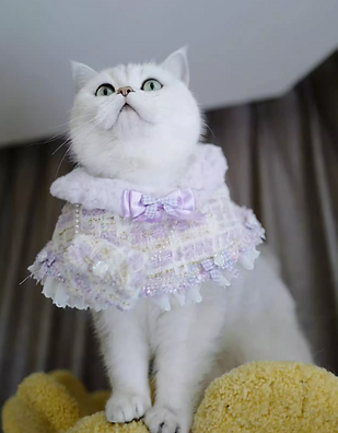 B.Bing Bouclé Bibs Bubble Dream