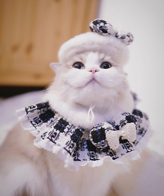 B.Bing Bouclé Bibs Chess