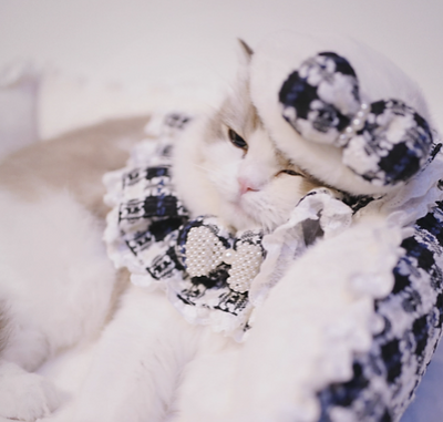B.Bing Bouclé Bibs Chess