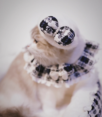 B.Bing Bouclé Bibs Chess