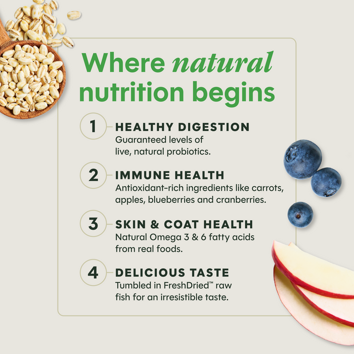BeNatural Kibble Real Salmon & Brown Rice Recipe