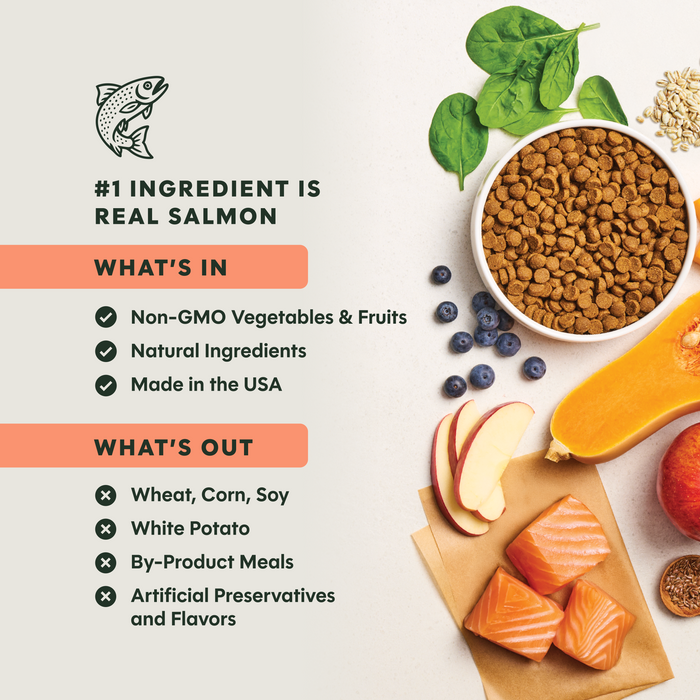 BeNatural Kibble Real Salmon & Brown Rice Recipe