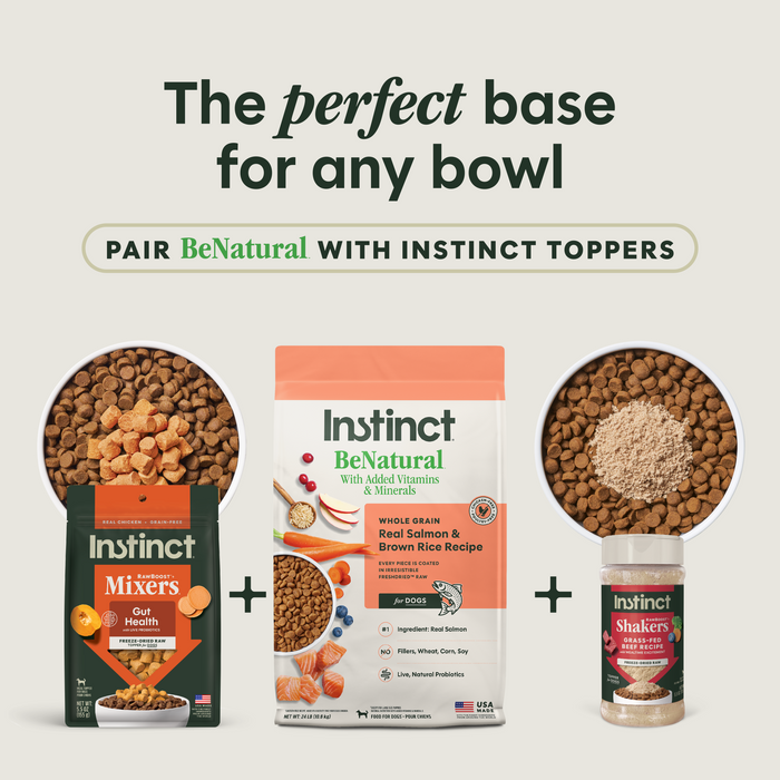 BeNatural Kibble Real Salmon & Brown Rice Recipe