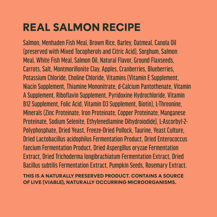 BeNatural Kibble Real Salmon & Brown Rice Recipe