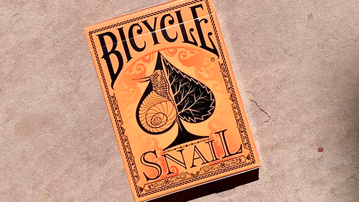 Bicycle Snail