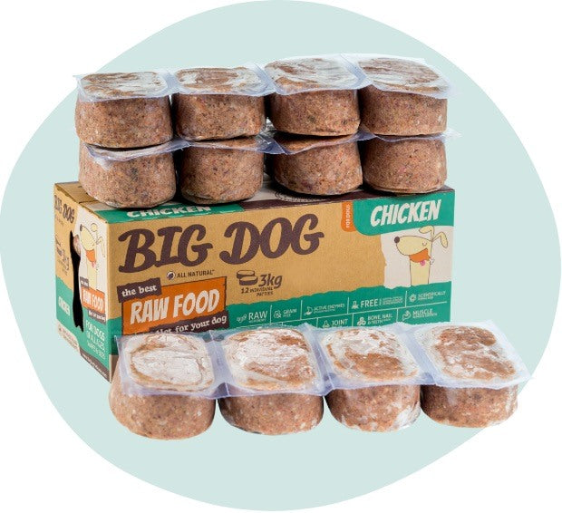 Big Dog Chicken Raw for Dogs