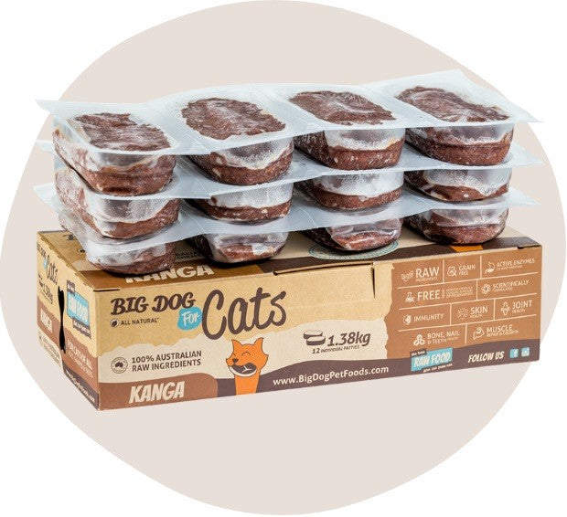 Big Dog Kangaroo Raw Cat Food