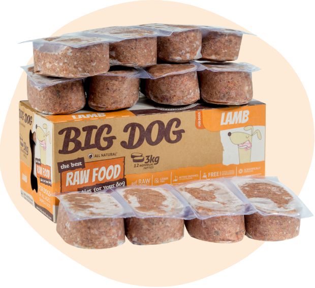 Big Dog Lamb Raw for Dogs