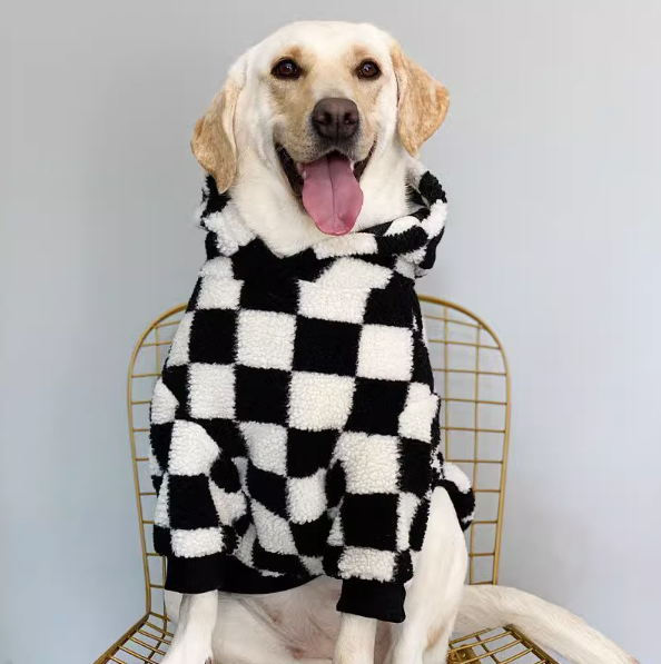BigDog ExLarge Hooded Top