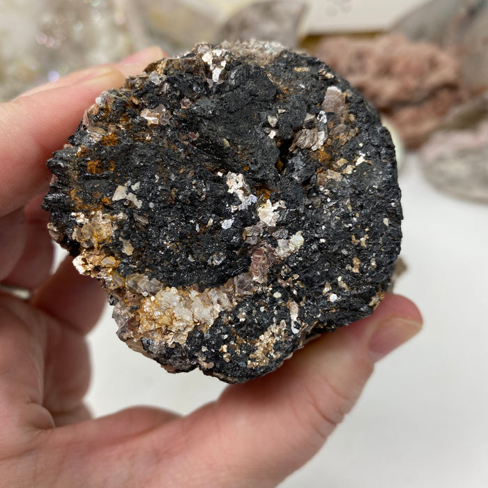 Black Tourmaline with Muscovite Rough #18