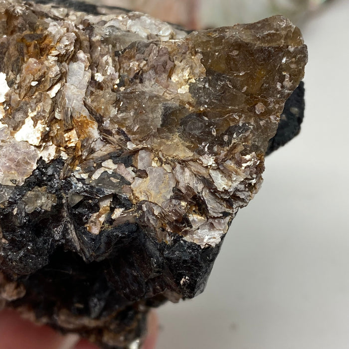 Black Tourmaline with Muscovite Rough #18