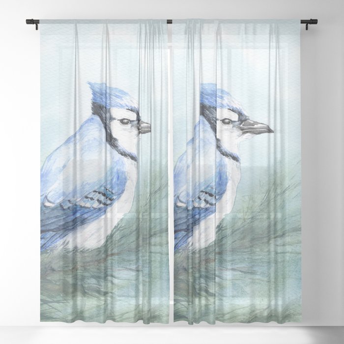 Blue Jay Black Out or Sheer Curtains