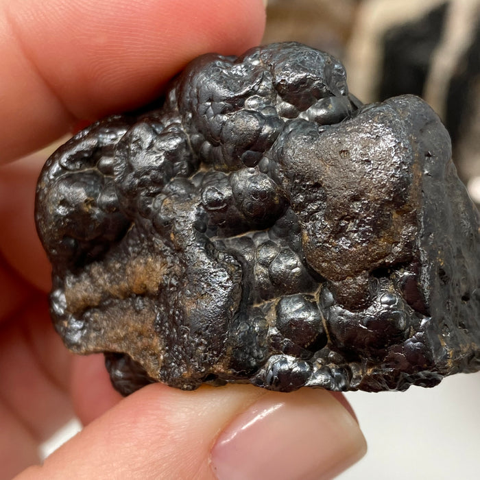 Botryoidal Hematite #09