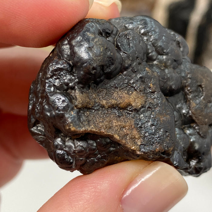 Botryoidal Hematite #09