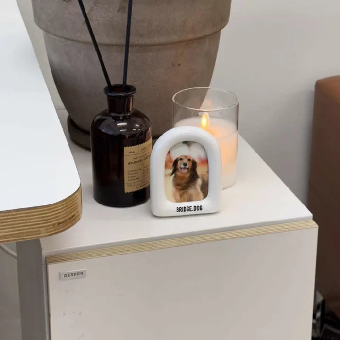Bridge Dog Photo Frame