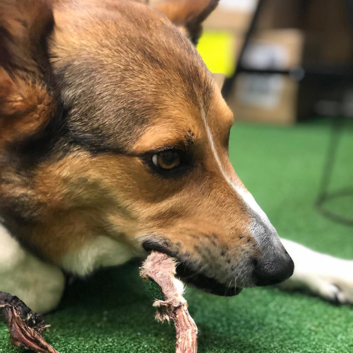 Bugsy‘s Dehydrated OZ Bullystick