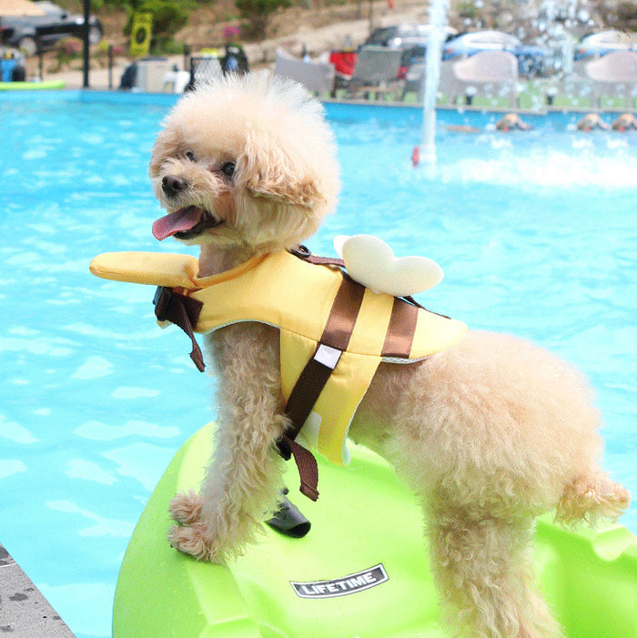 Busy Bee Pet Swim Jacket