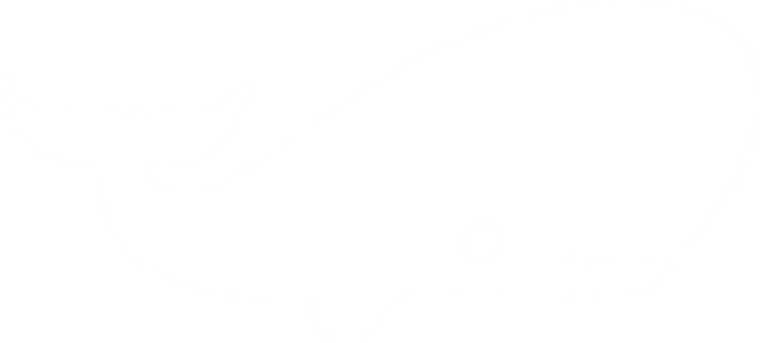 Cartoon Whale Vinyl Decal