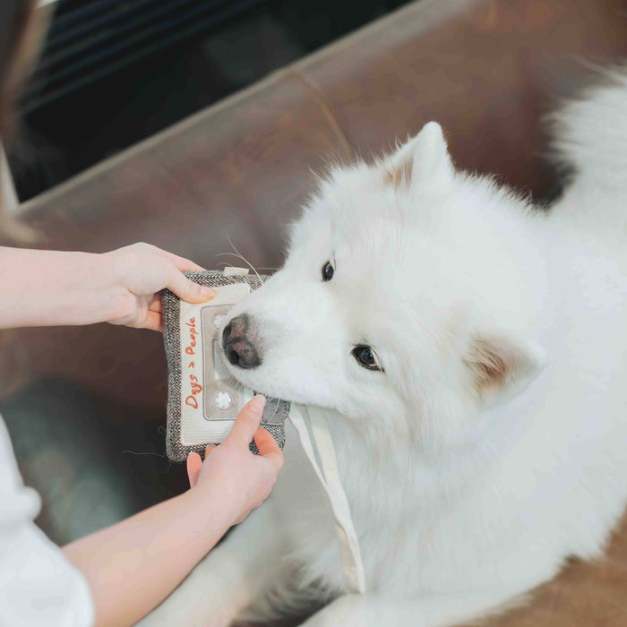 Cassette Enrichment Toy