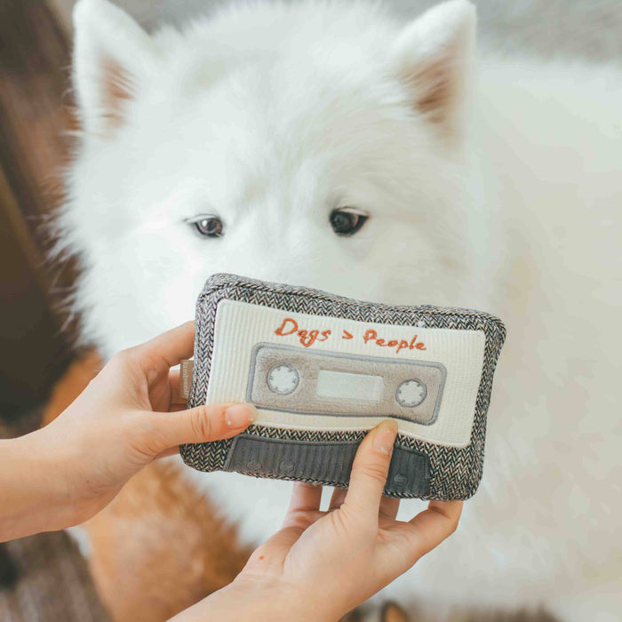 Cassette Enrichment Toy