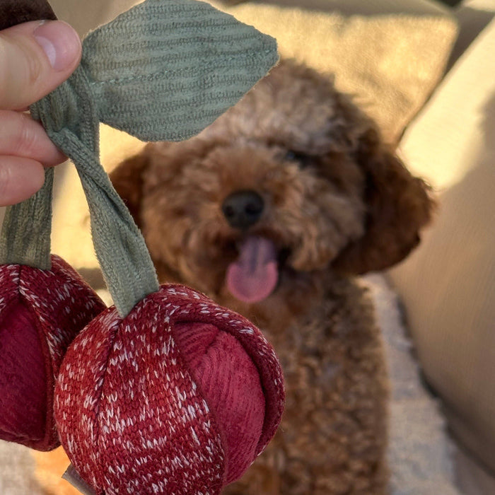 Cherry Pop Enrichment Toy