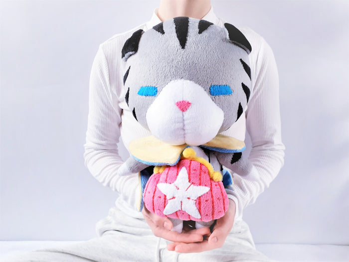 Chirithy the cat plush
