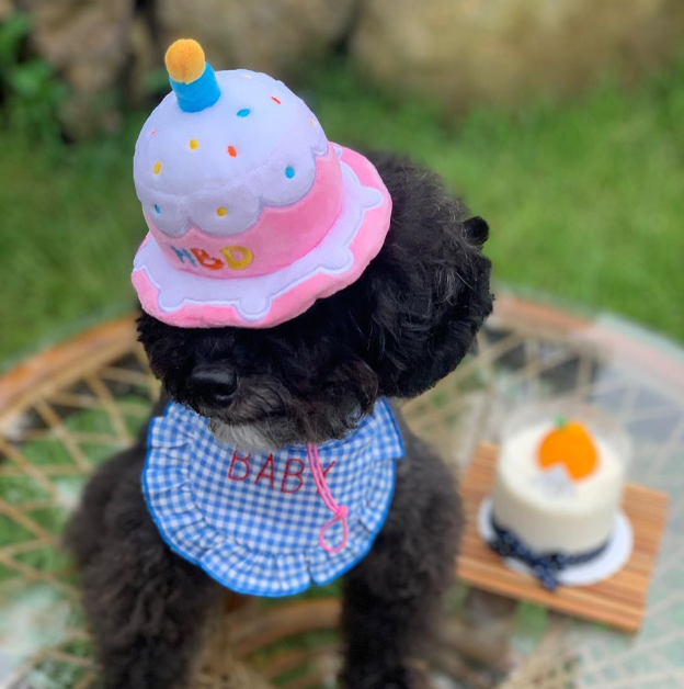 Cloudi Bear Happy Birthday Hat