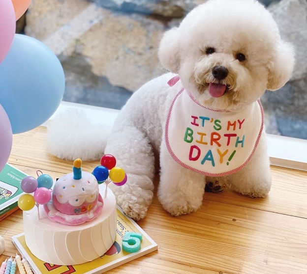 Cloudi Bear Happy Birthday Hat