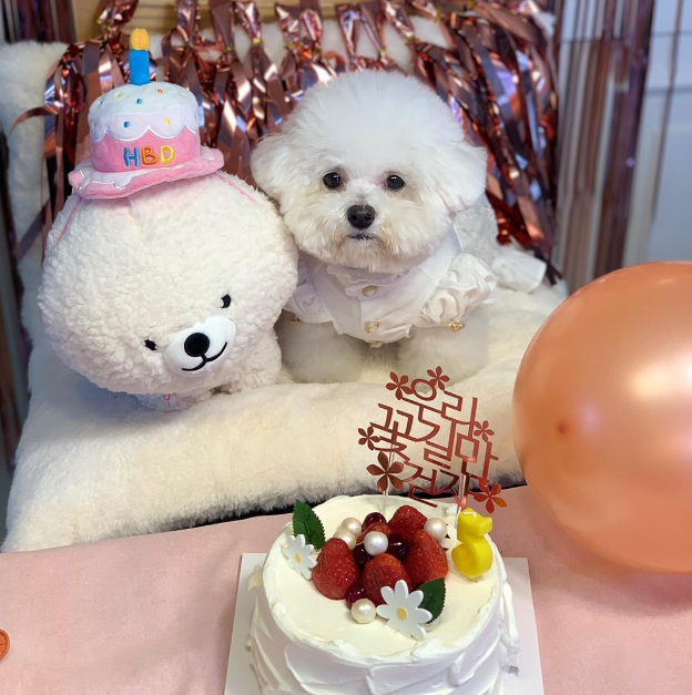 Cloudi Bear Happy Birthday Hat