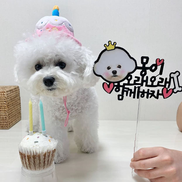Cloudi Bear Happy Birthday Hat