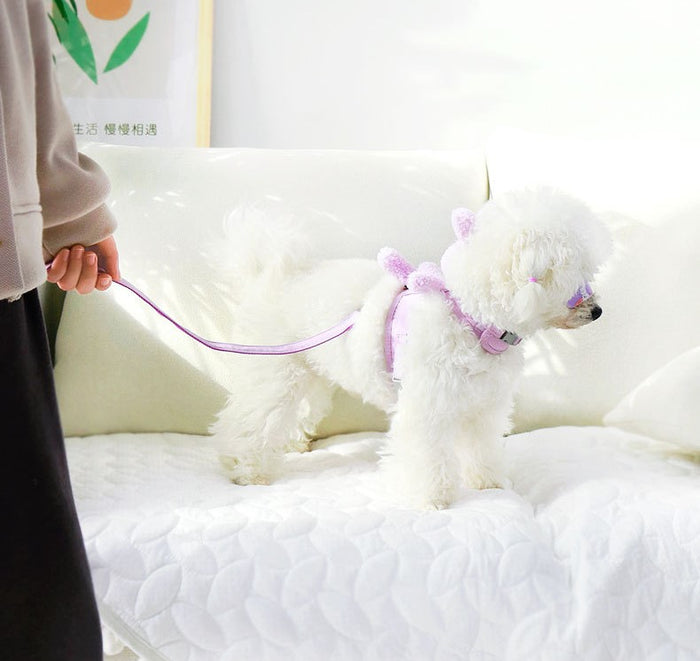 Cotton Bunny Harness Set