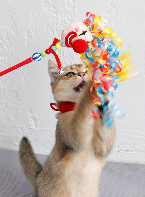 Crazy Clown Interactive Cat Teaser