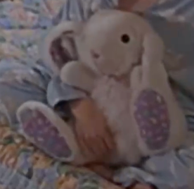 Custom bunny replica plush from the picture