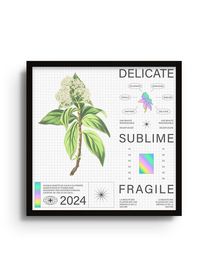 Delicate - Matéo Mace