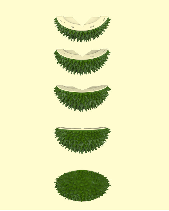 Durian Interactive Corner Massage Toy
